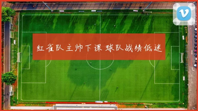 红雀队主帅下课 球队战绩低迷