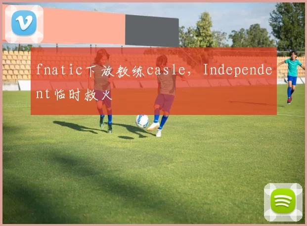 fnatic下放教练casle，Independent临时救火