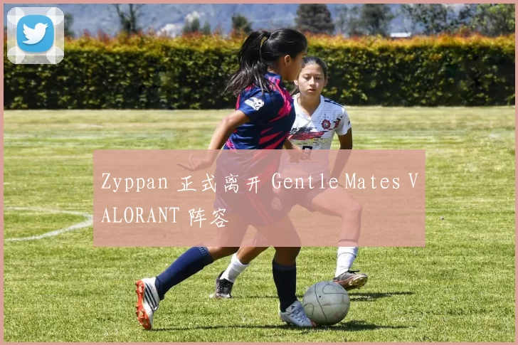 Zyppan 正式离开 Gentle Mates VALORANT 阵容