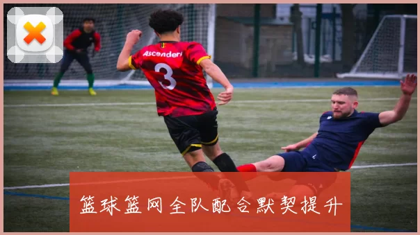 篮球篮网全队配合默契提升