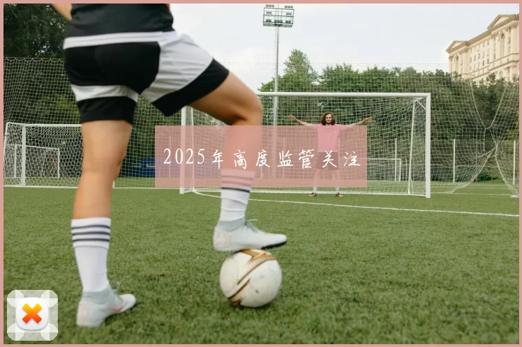 2025年高度监管关注