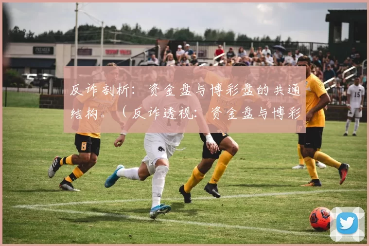 反诈剖析：资金盘与博彩盘的共通结构。（反诈透视：资金盘与博彩盘的共同运行机制）